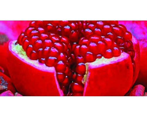 Desk Calendar DC26